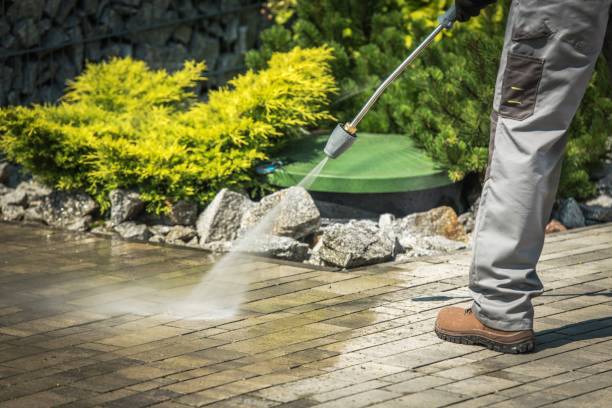 Best House Exterior Washing  in Hillsboro Beach, FL
