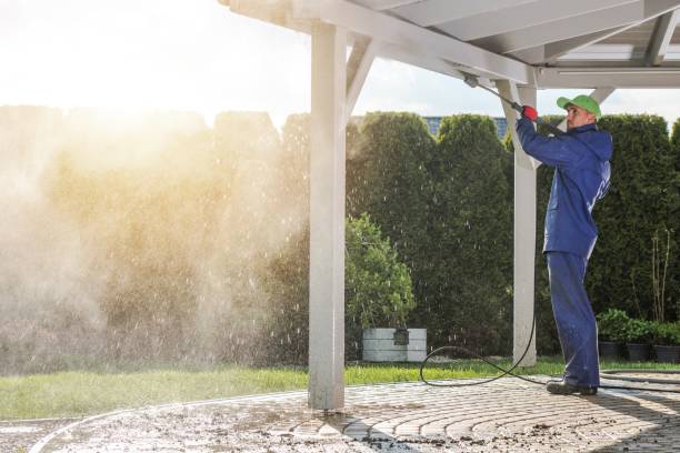 Best Roof Washing  in Hillsboro Beach, FL